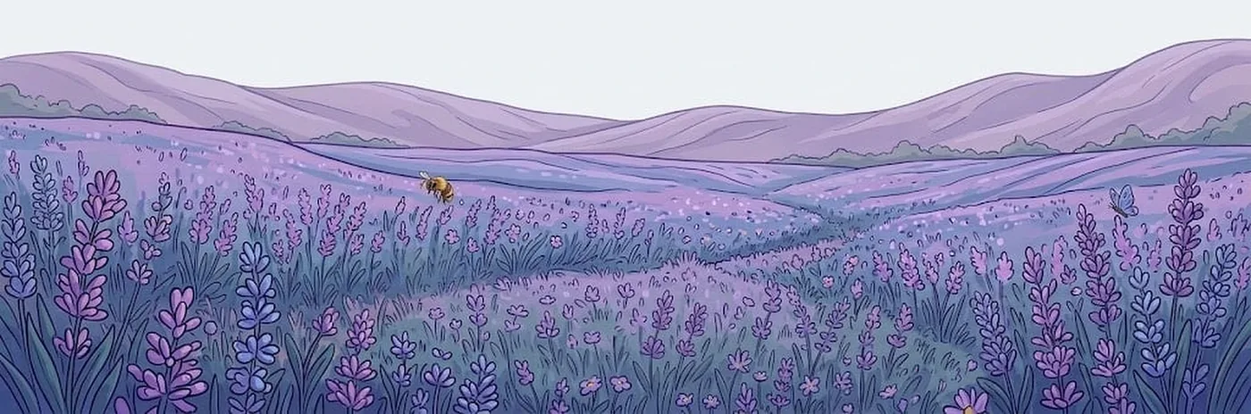 Lavender field background